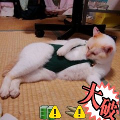 がくじゅつてきあかげ's avatar